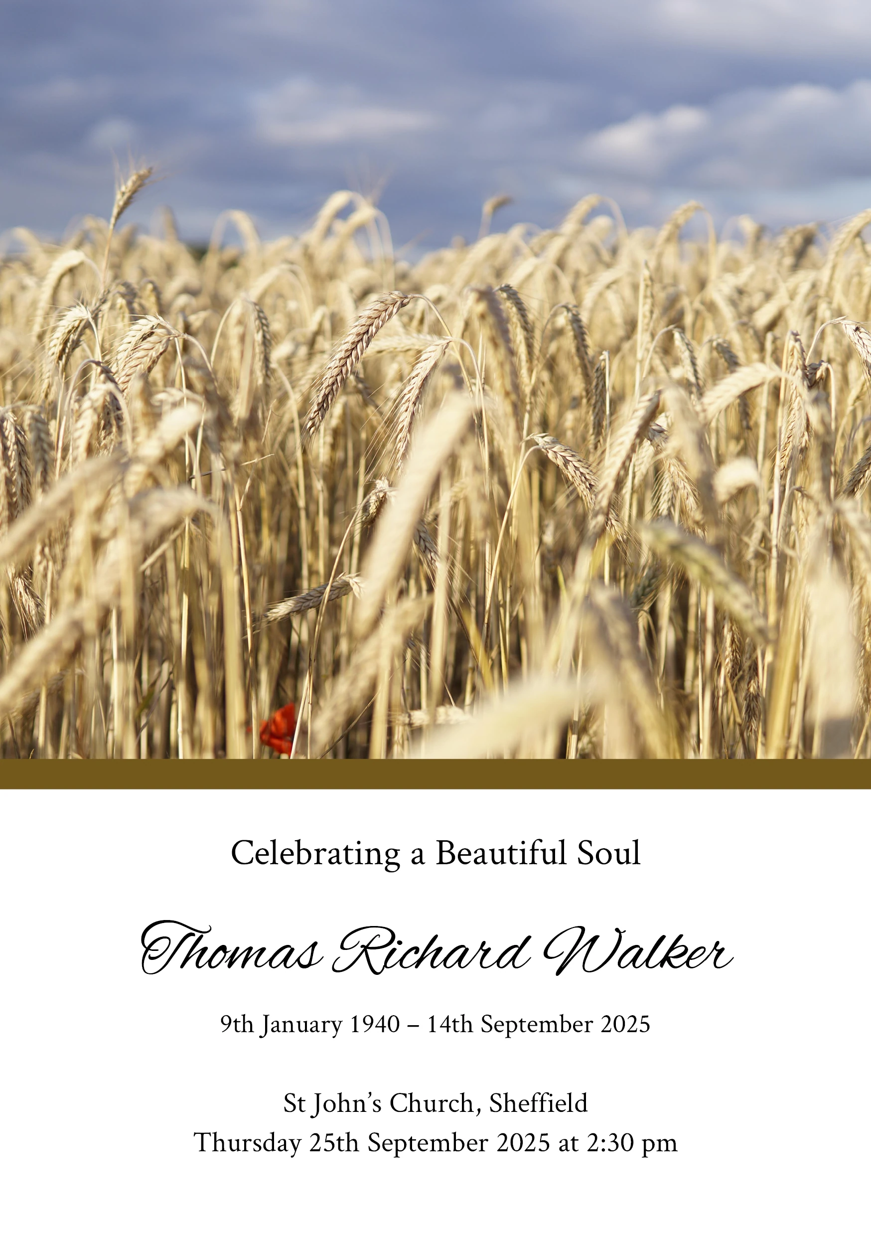 [Photograph — 165 - golden wheat field cover]